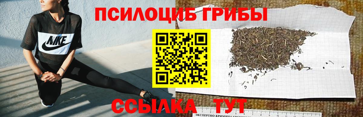 Галлюциногенные грибы ЛСД  купить наркотики сайты  Галлюциногенные грибы Psilocybine cubensis  Вязьма  Вход с VPN 